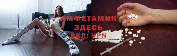 ECSTASY Коряжма